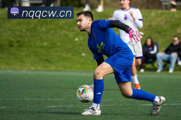 巅峰国际app官方下载渠道全站App